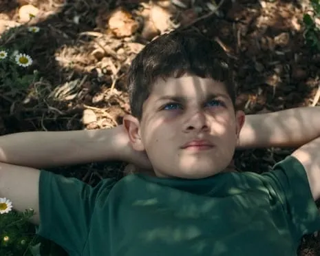 Israel's Minister of Culture Vows to Eliminate National Film Awards After Palestinian-Themed Film Takes Top Prize