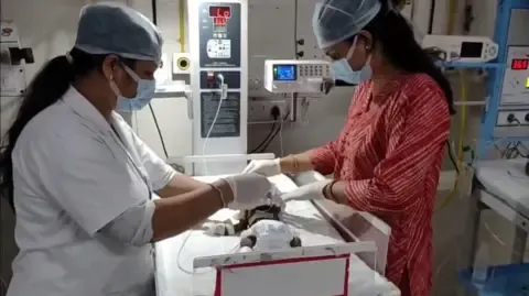 Baby Placed Living in India Battles for Survival
