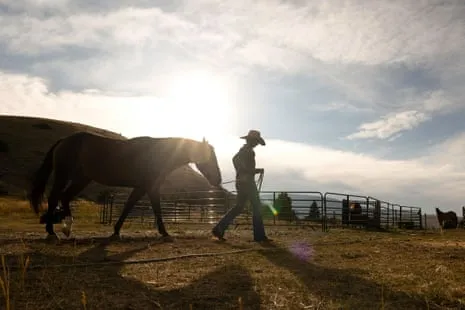 Get to Know the US Women Ranchers Transforming Contemporary Farm Life