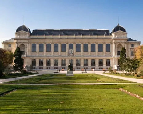 Priceless Gold Specimens Taken in Daring Robbery at French Natural History Institution