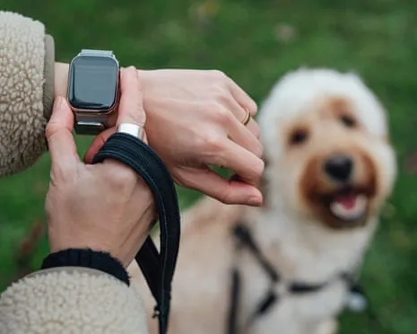 The Truth Concerning Smartwatches? Daily Existence Improves Lacking a Hectoring Gadget on Your Wristwear